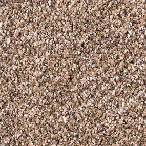Textured Saxony Allspice Brown Carpet