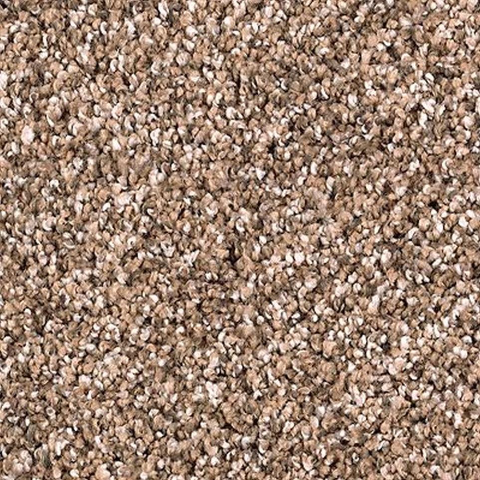 Textured Saxony Allspice Brown Carpet