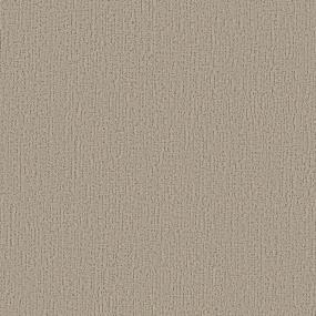 Pattern Sands Of Time Beige/Tan Carpet