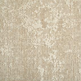 Plush Sand Beige/Tan Carpet