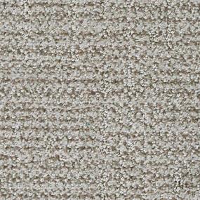 Pattern Vison Beige/Tan Carpet