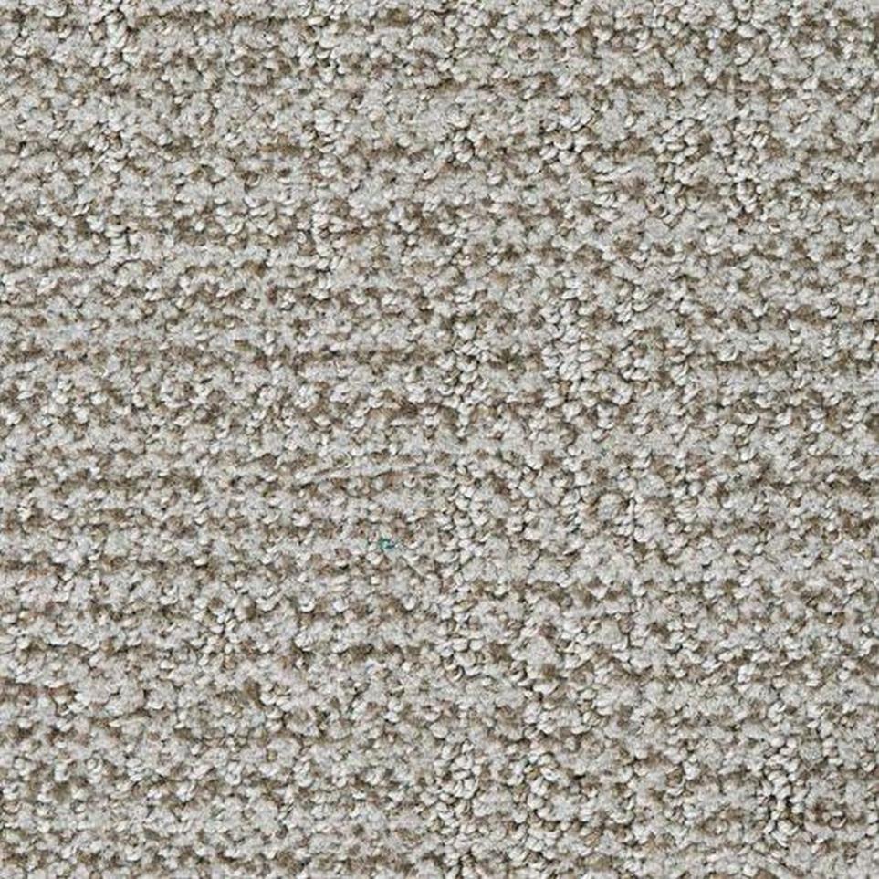 Pattern Vison Beige/Tan Carpet