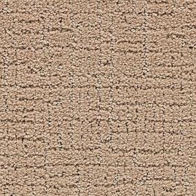 Pattern Native Soil Beige/Tan Carpet