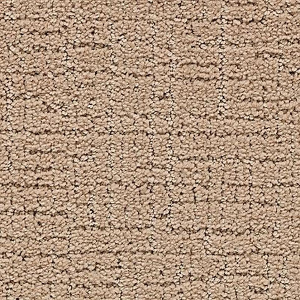 Pattern Native Soil Beige/Tan Carpet