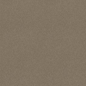 Textured Saxony Toffee Beige/Tan Carpet