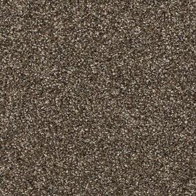 Texture Primrose Brown Carpet