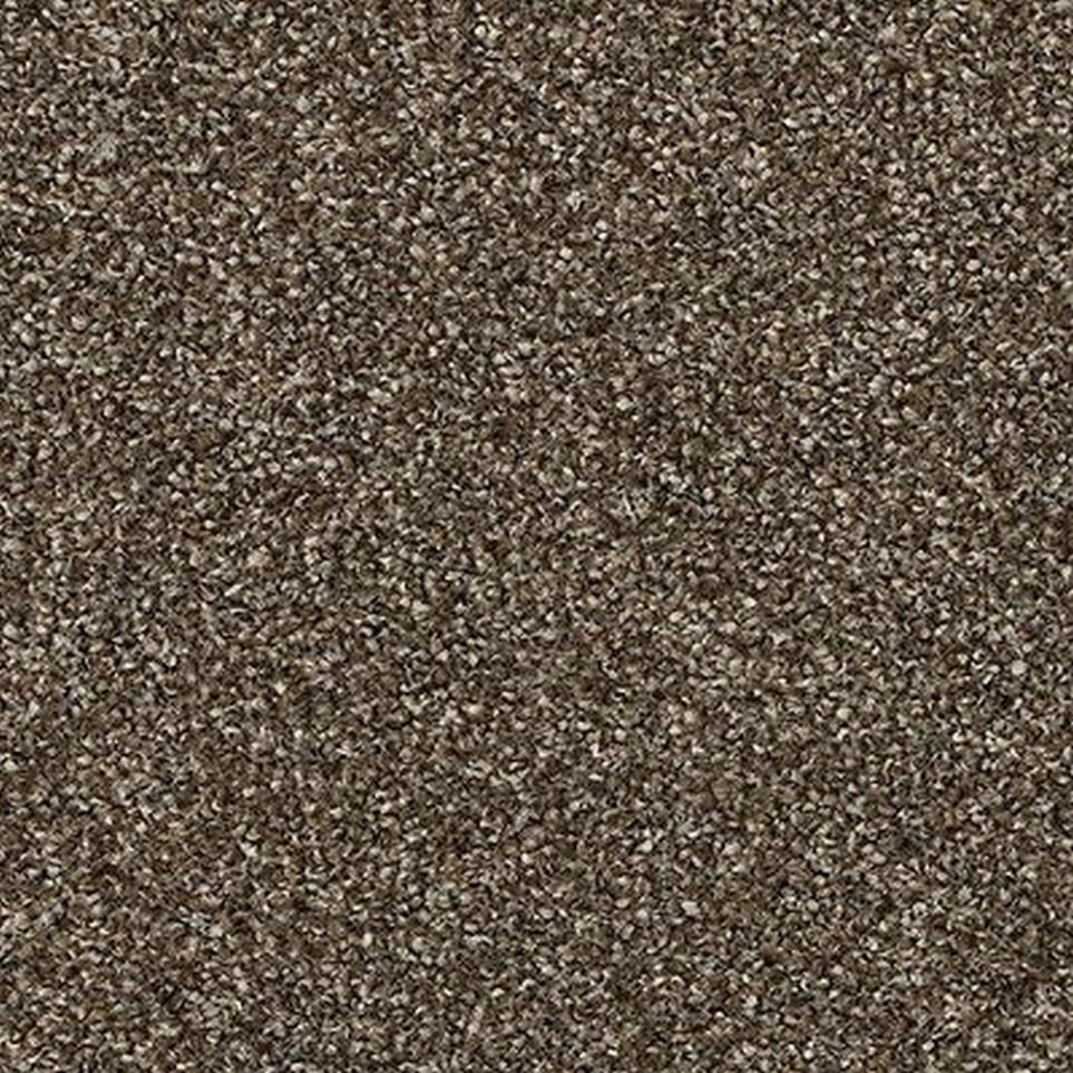 Texture Primrose Brown Carpet
