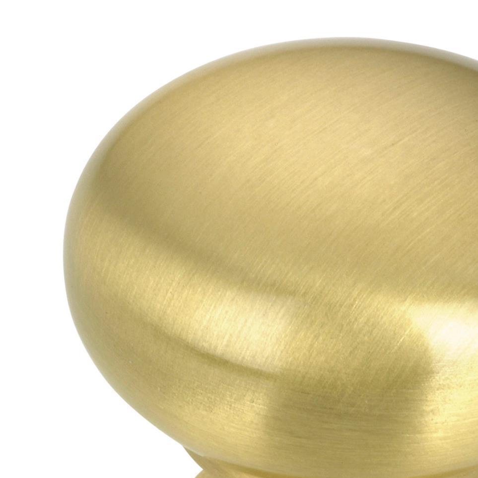 Knob Satin Brass Brass / Gold Knobs