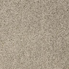 Textured Saxony Dolphin Brown Carpet