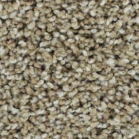 Textured Saxony Putty Brown Carpet