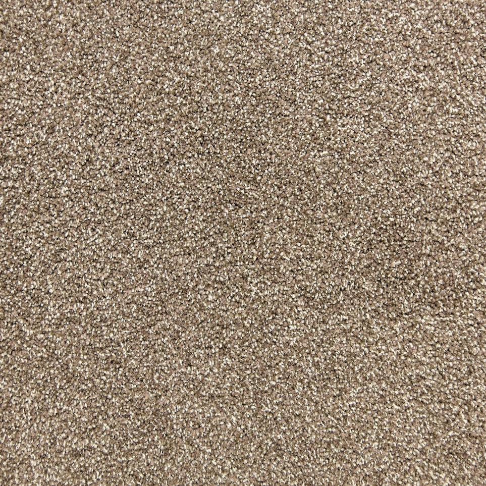Texture Bitter Sweet Brown Carpet