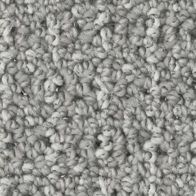 Loop Alta Vista Gray Carpet