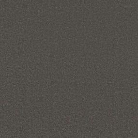 Textured Saxony Briar Root Black Carpet