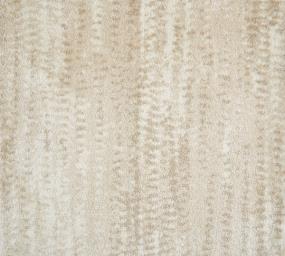 Pattern Desert Beige/Tan Carpet