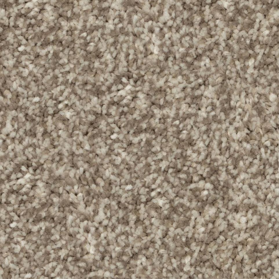 Casual Texture Soak Up The Sun Brown Carpet