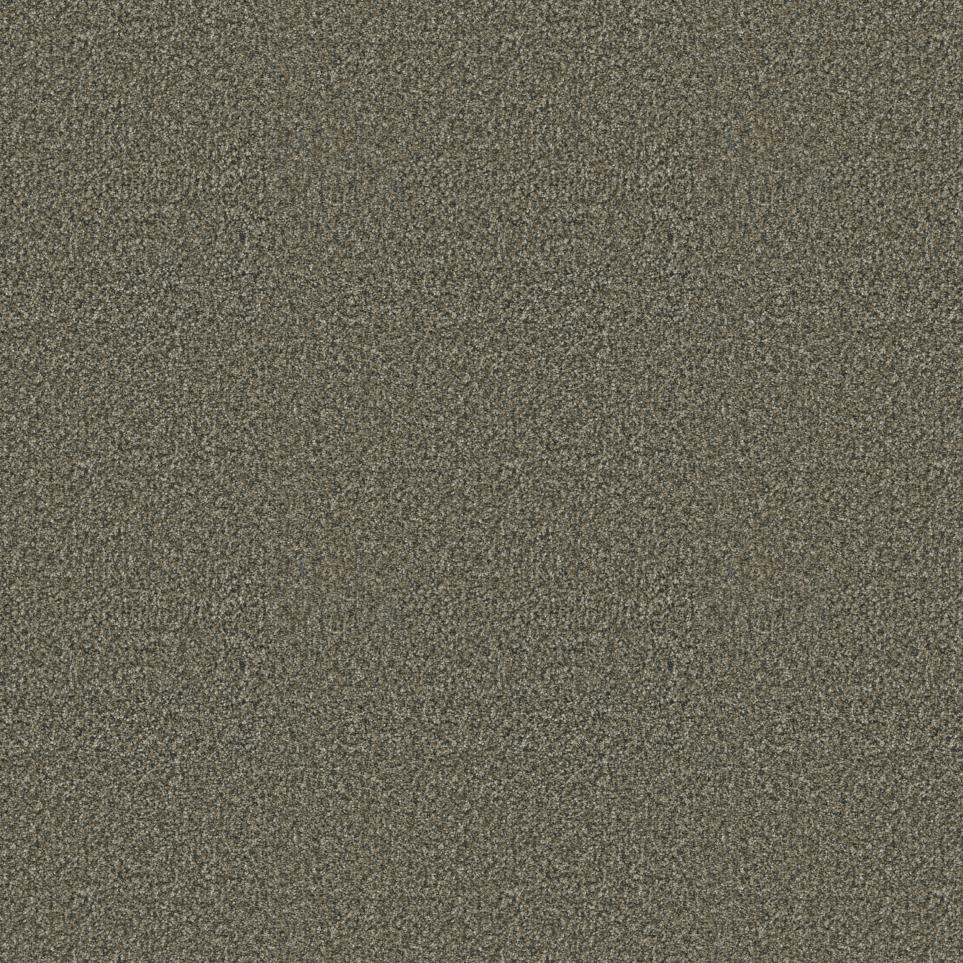 Texture Guardian Gray Carpet