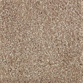 Textured Saxony Weathered Timber Beige/Tan Carpet