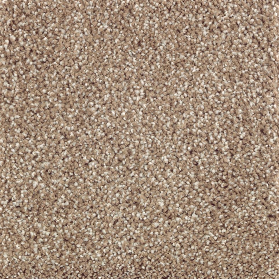 Textured Saxony Weathered Timber Beige/Tan Carpet