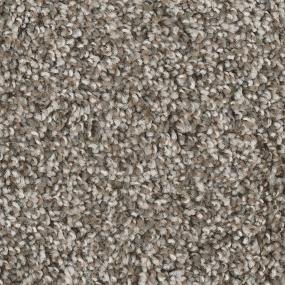 Textured Saxony Monet Beige/Tan Carpet