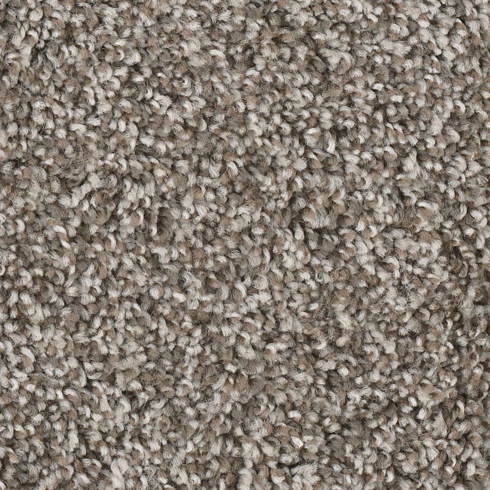 Texture Monet Beige/Tan Carpet
