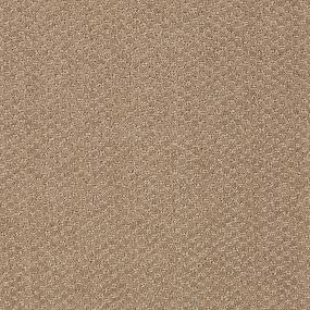 Pattern Sycamore Beige/Tan Carpet
