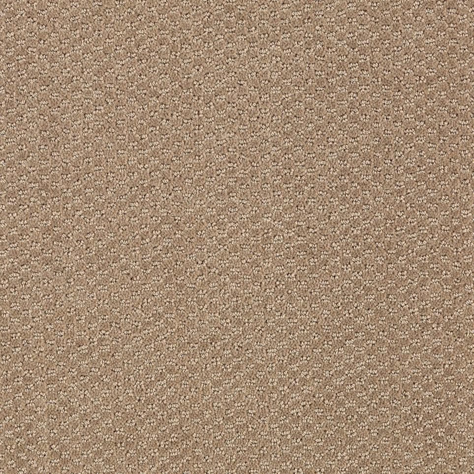 Pattern Sycamore Beige/Tan Carpet
