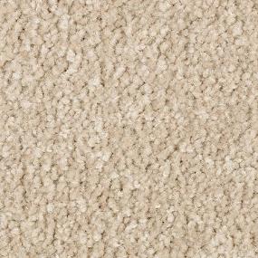 Textured Saxony Vintage Beige/Tan Carpet