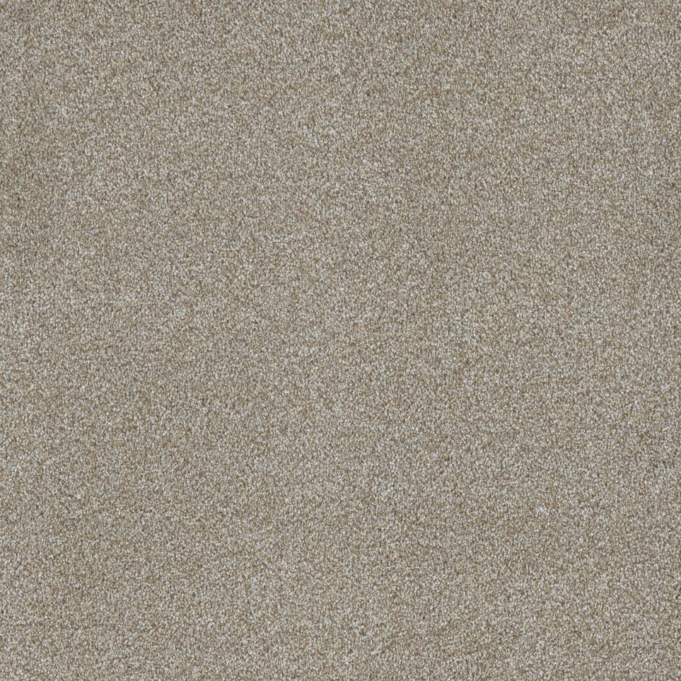 Textured Saxony Gilding Beige/Tan Carpet