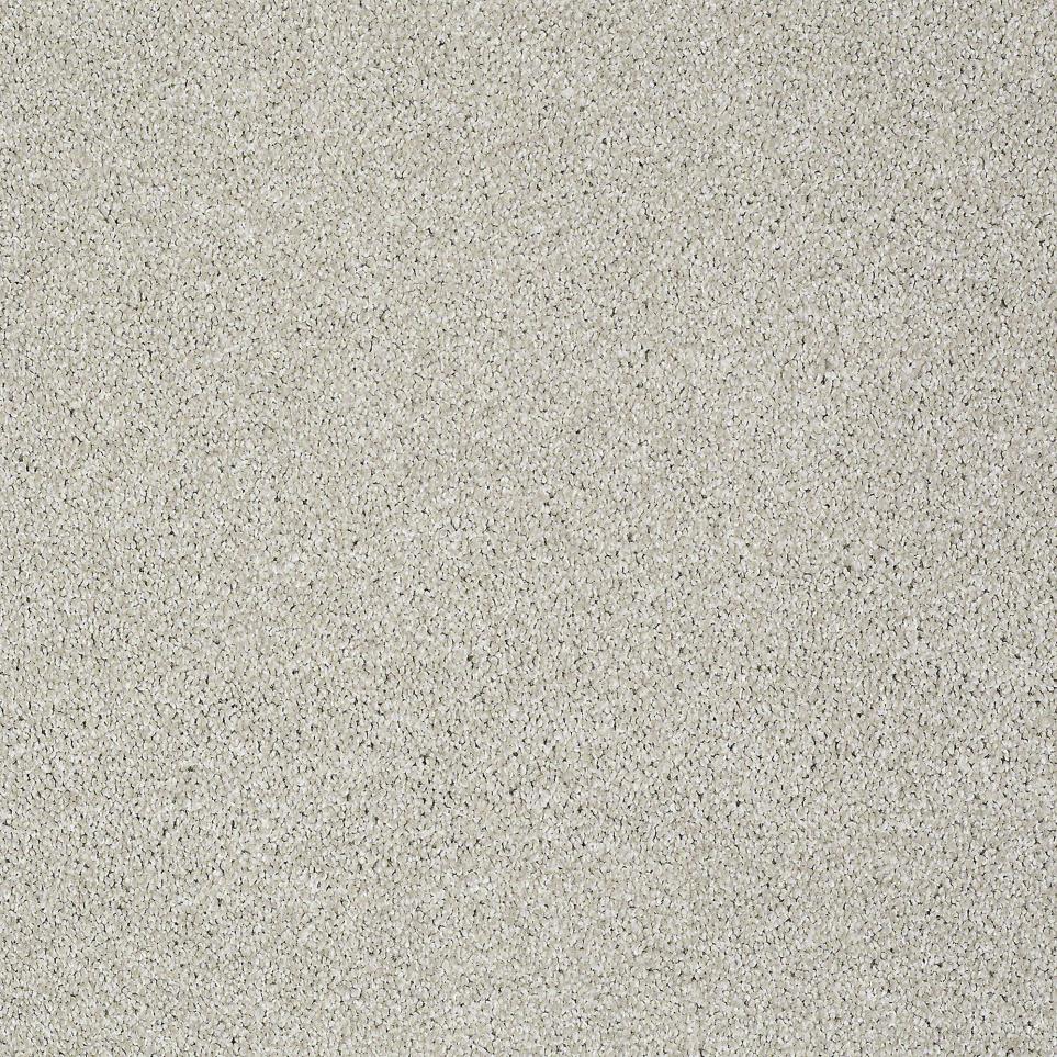 Texture Ashen Gray Carpet