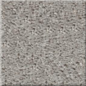 Texture Aerospace Gray Carpet