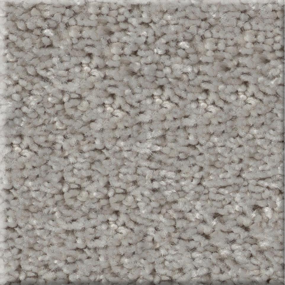 Texture Aerospace Gray Carpet