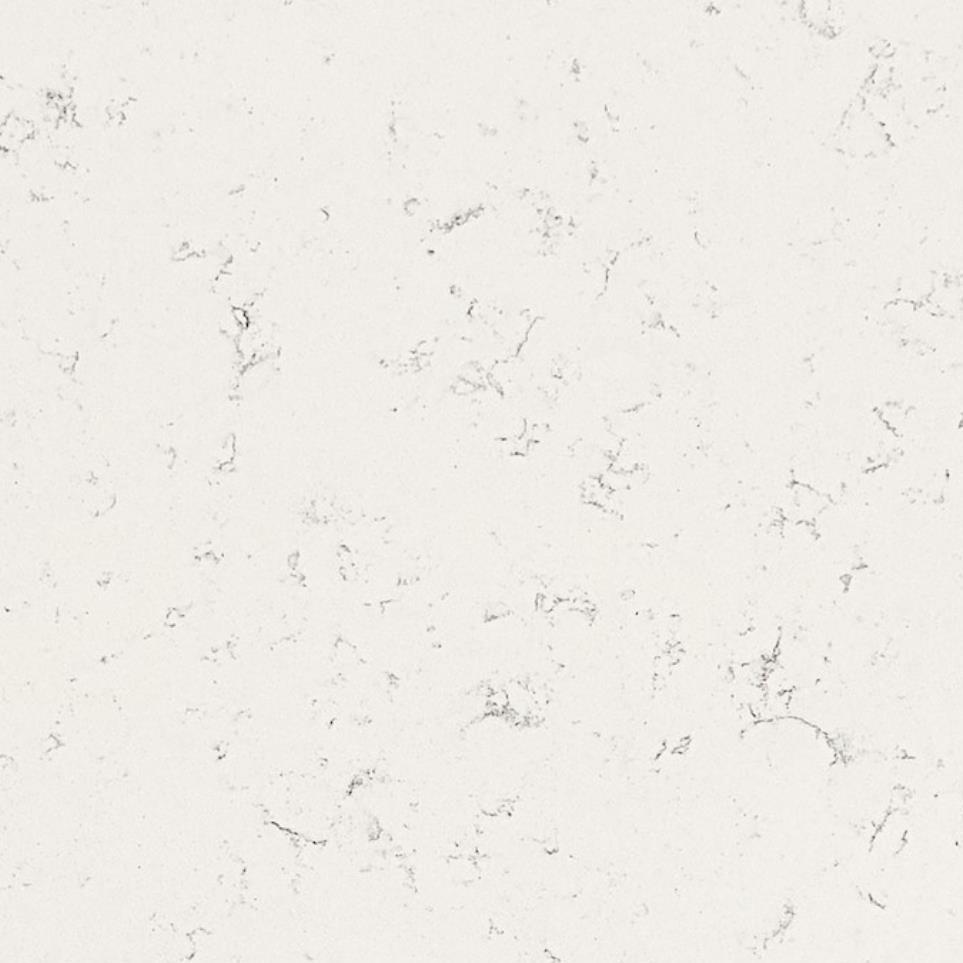 Slab Whistler White Quartz Countertops