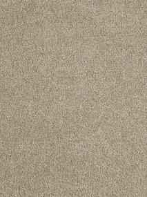 Textured Saxony Hall Of Fame Beige/Tan Carpet