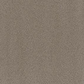 Textured Saxony Modest Beige/Tan Carpet