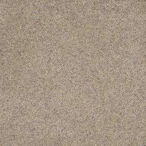 Textured Saxony Modest Beige/Tan Carpet