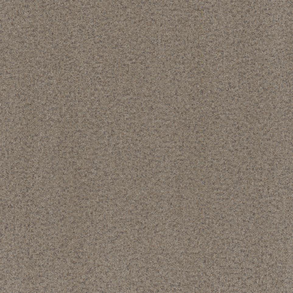 Texture Modest Beige/Tan Carpet