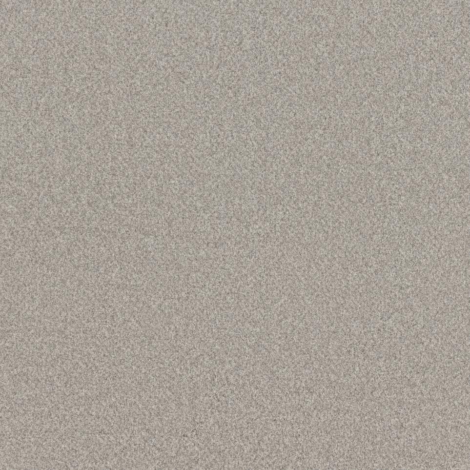 Texture Classical Gray Carpet