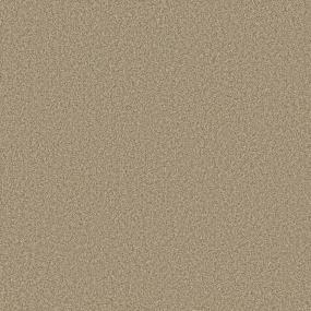 Textured Saxony Outrigger Beige/Tan Carpet