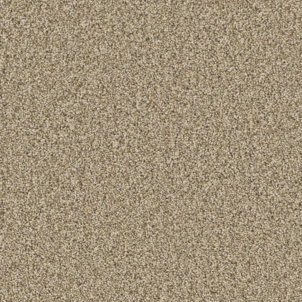 Textured Saxony Outrigger Beige/Tan Carpet