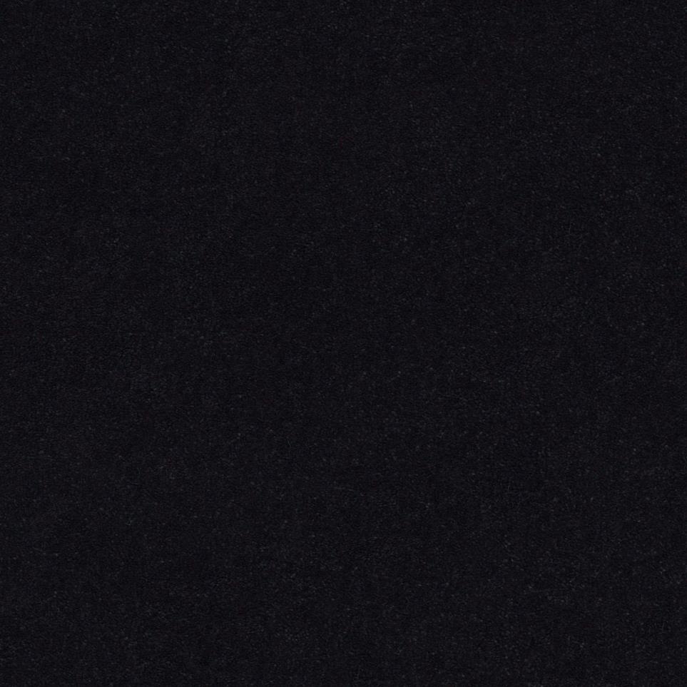 Textured Saxony Tuxedo Black Carpet