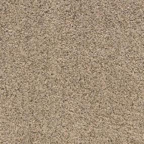 Textured Saxony Driftwood Beige/Tan Carpet