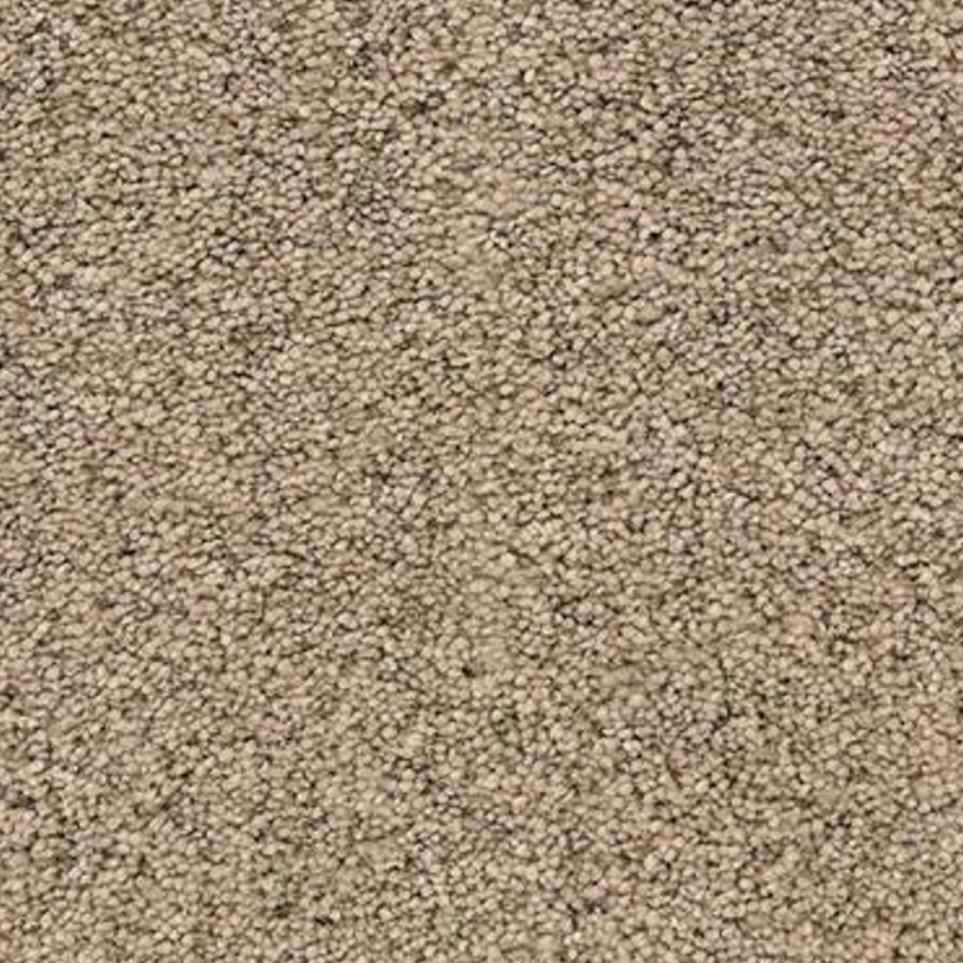 Textured Saxony Driftwood Beige/Tan Carpet