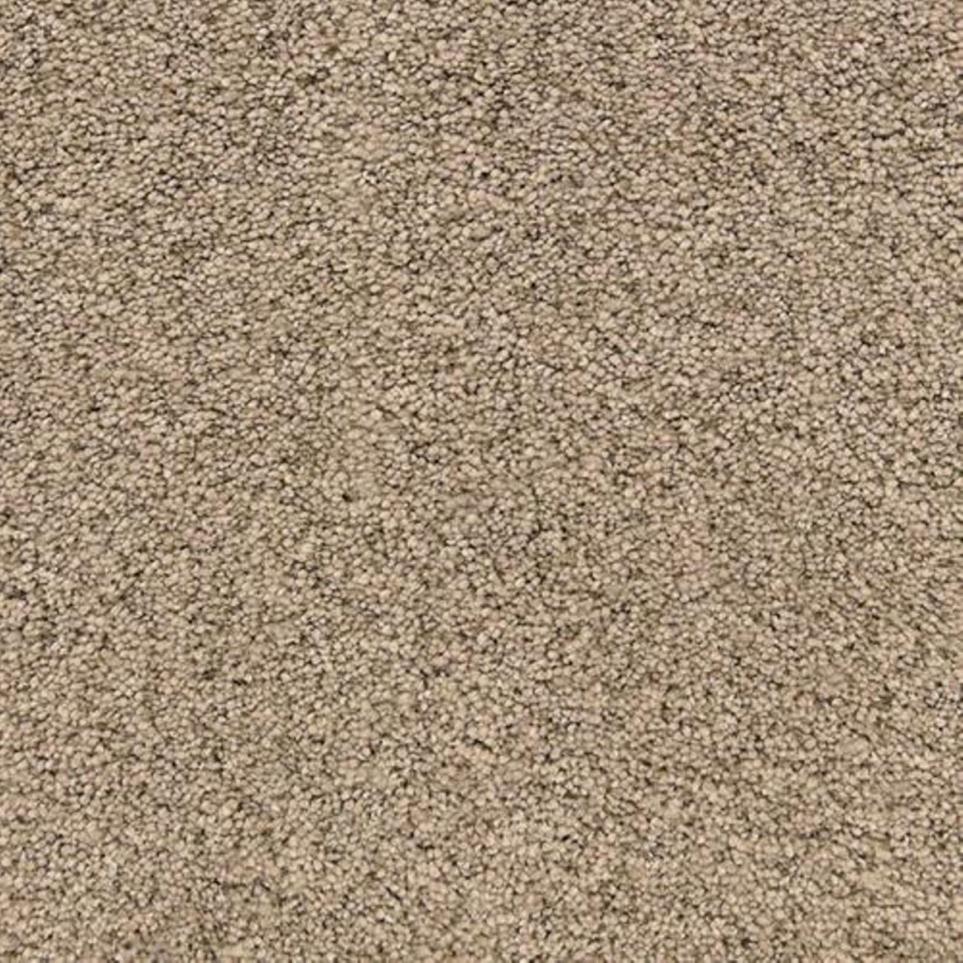 Textured Saxony Driftwood Beige/Tan Carpet