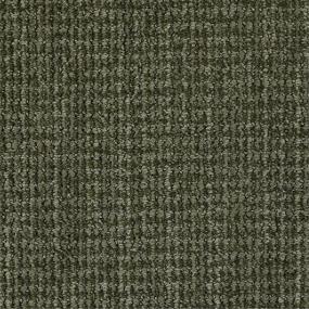 Pattern Temperate Green Carpet