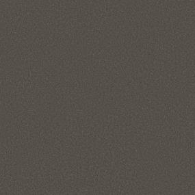 Texture BARN BEAM Gray Carpet