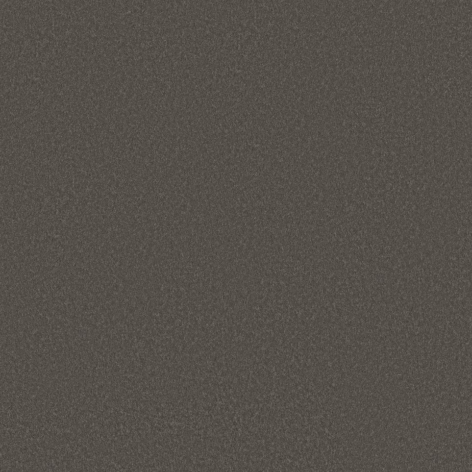 Texture BARN BEAM Gray Carpet