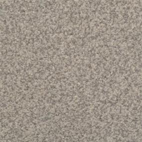 Casual Texture Wall Street Beige/Tan Carpet