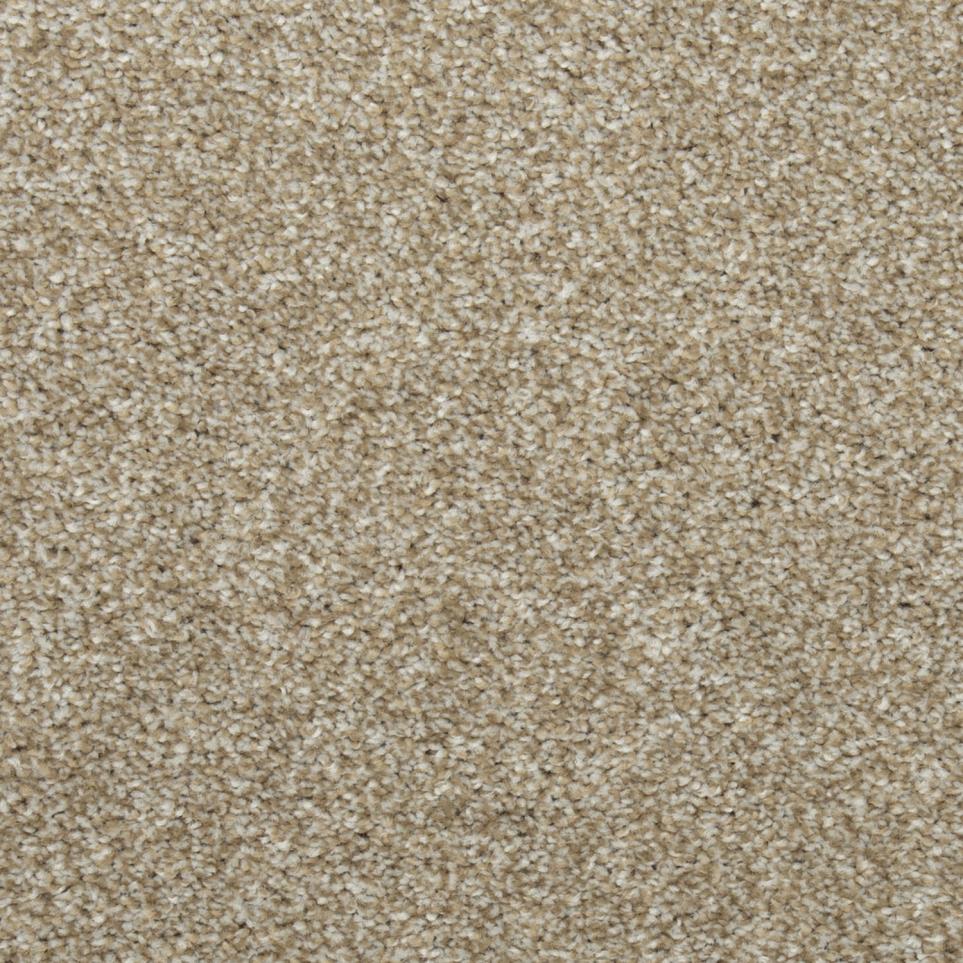 Texture Tradition Beige/Tan Carpet