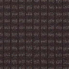 Loop Fallen Timber Black Carpet