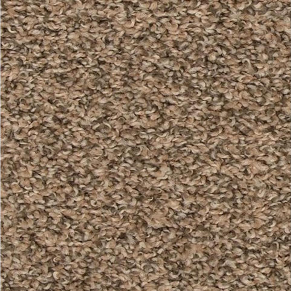 Textured Saxony Everything Beige/Tan Carpet